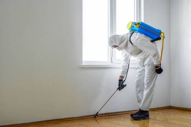 Wasp Removal Services in Carrier Mills, IL